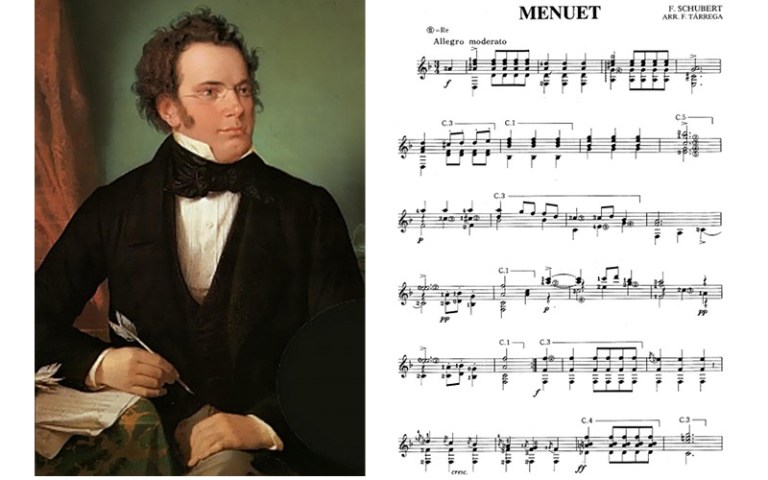Classical guitar music to play schubert menuet
