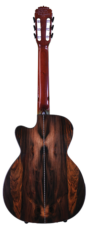 DreamCatcherFusion_back_3651