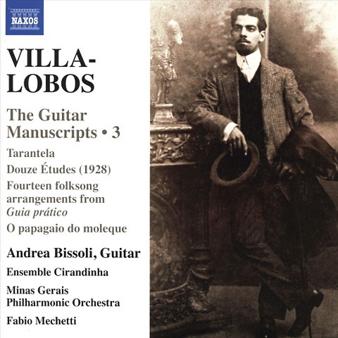 villa lobos