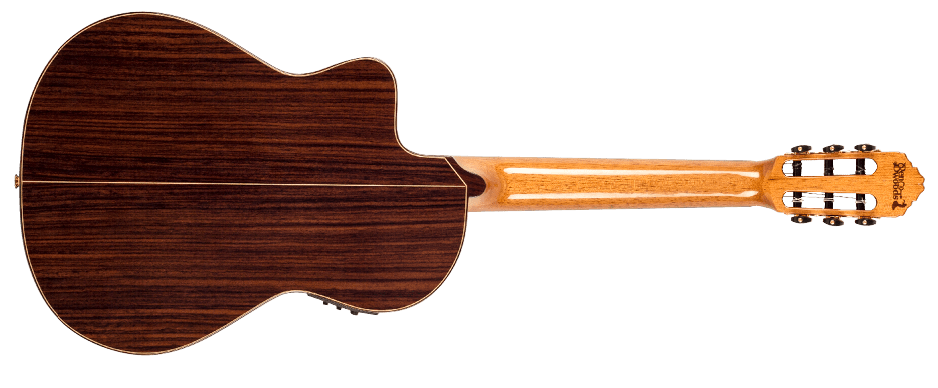 Ben Woods Ortega Signature Back
