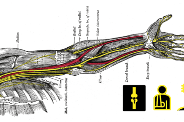 John E Walker- Nerve Injury Recovery Guitar Focal Dystonia Classical Guitar magazine
